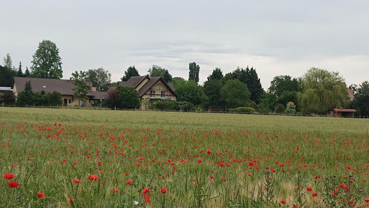 Gite Du Clos Paisible Jebsheim Exterior photo